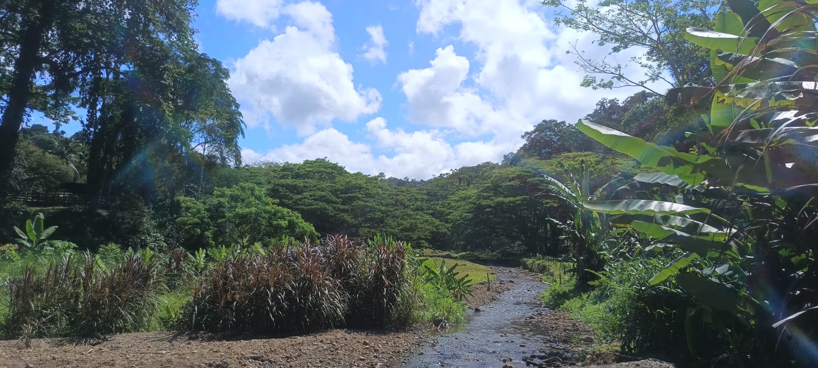 river_front_property_carbon_1_6