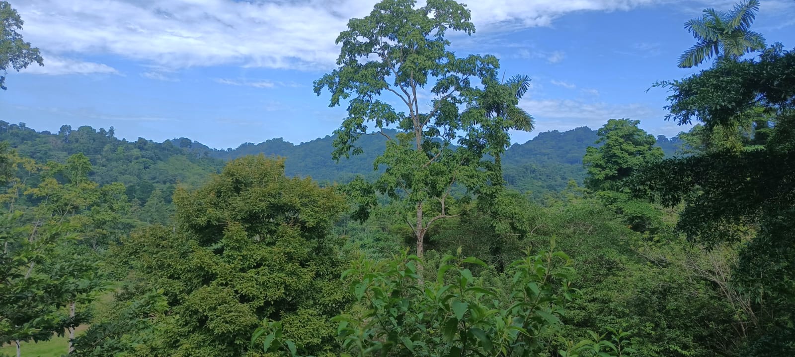 riverview_hidden_valley_carbon_1_1