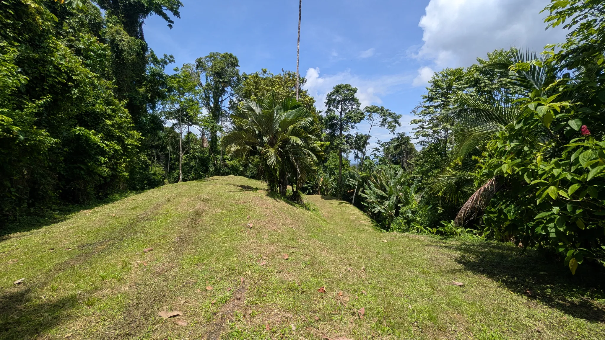 Featured image 4