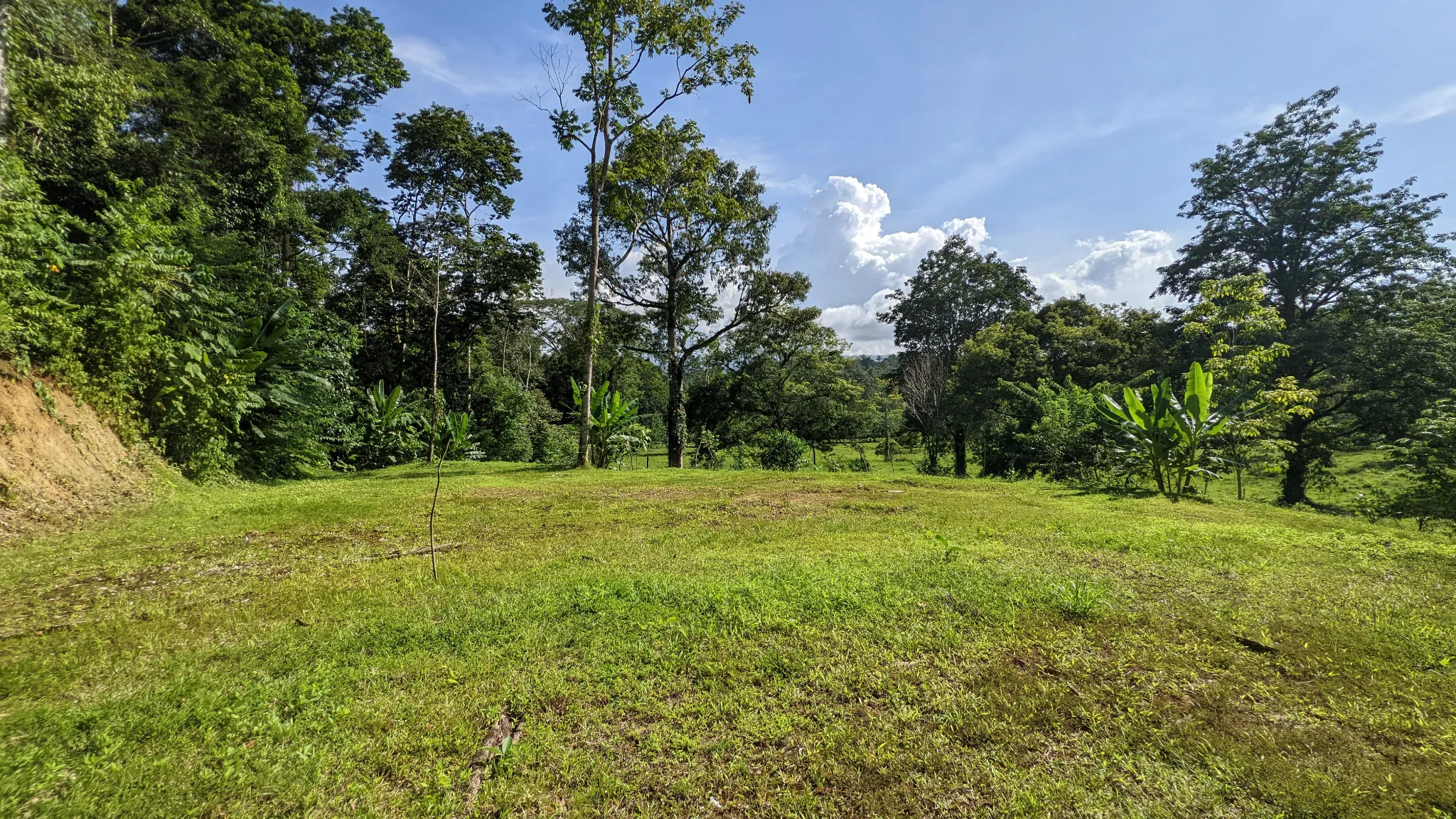 Featured image 2